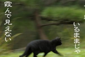在宅ワーク時代の必須対策！安全なパスワード管理の方法とは？